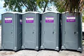 Types of Portable Toilets We Offer in Sand Ridge, NY